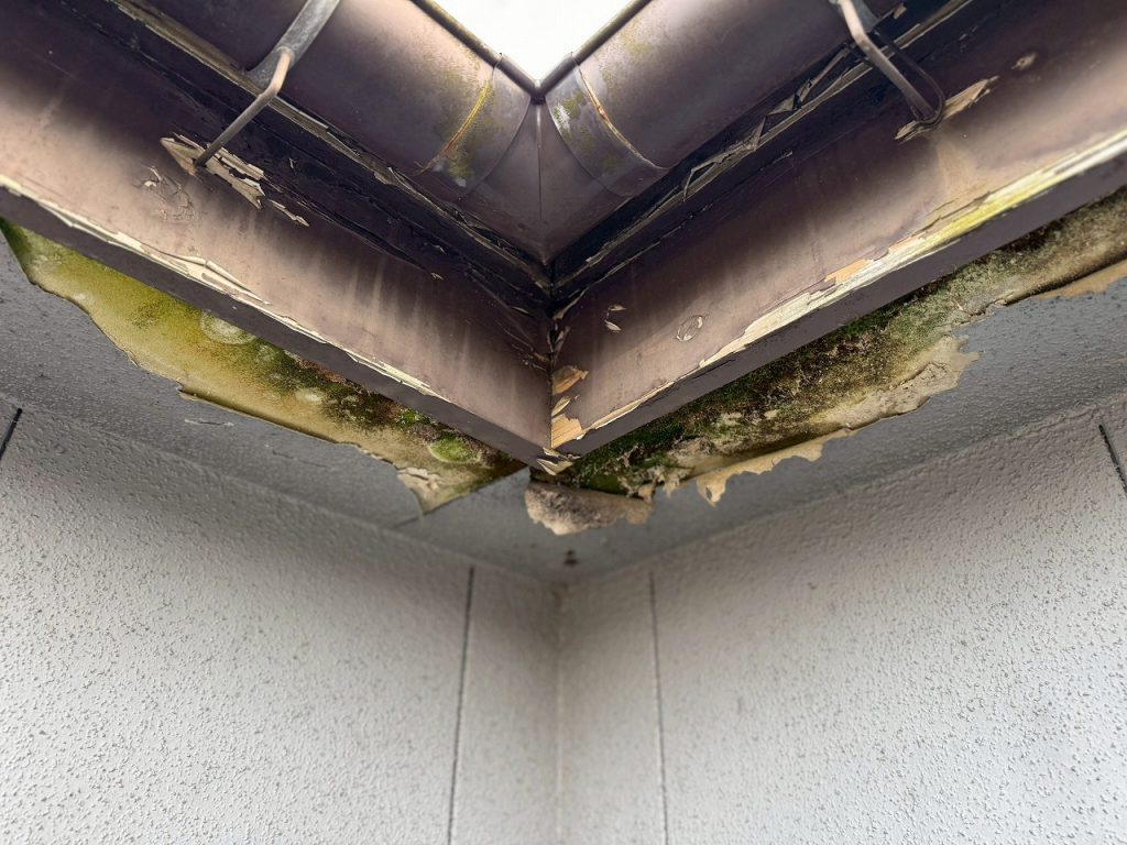 豊田市で雨漏りしていて軒裏が剥がれた様子