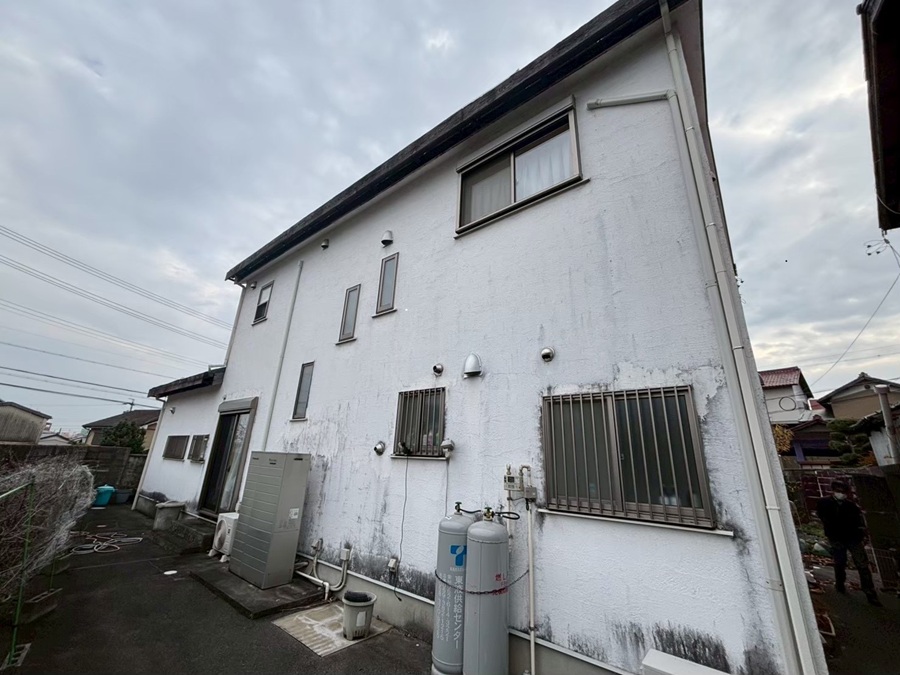 北面の漆喰壁にコケが生えている様子　桑名市