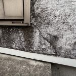 桑名市で漆喰外壁がひび割れている様子