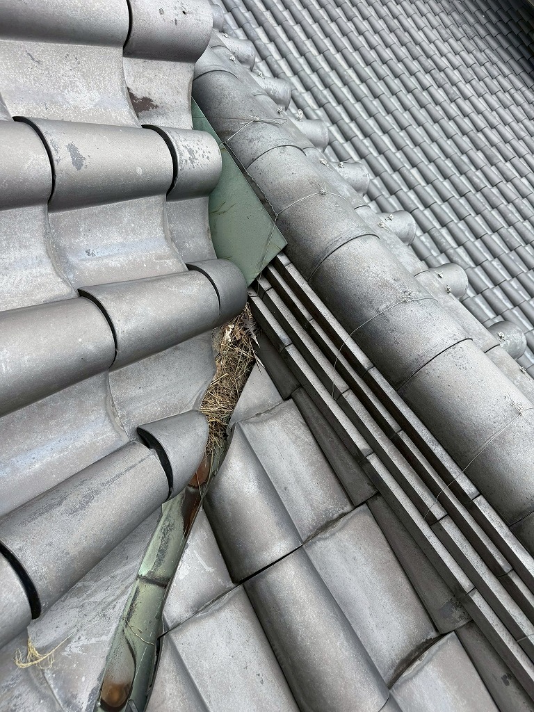 豊田の大型店舗の谷板金が詰まったり雨漏りしている様子